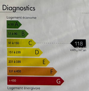 Diagnostics DPE Cannes Banane