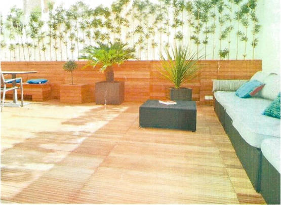 Plantes Fauteuil Cannes Banane