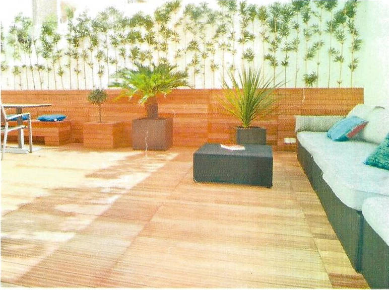 Plantes fauteuil logement Cannes Banane